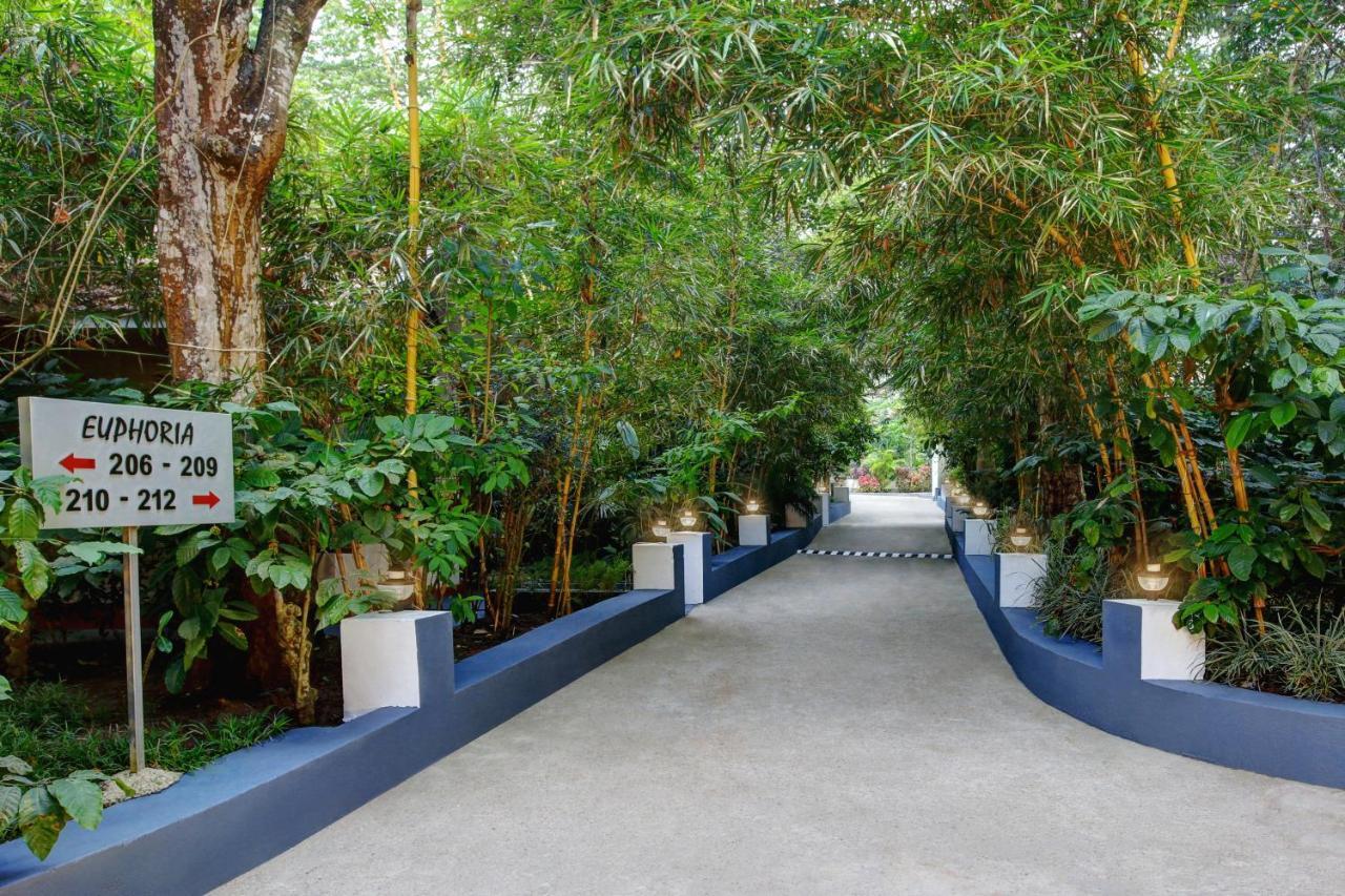 Gokulam Grand Resort & Spa, Coorg Kushālnagar Εξωτερικό φωτογραφία